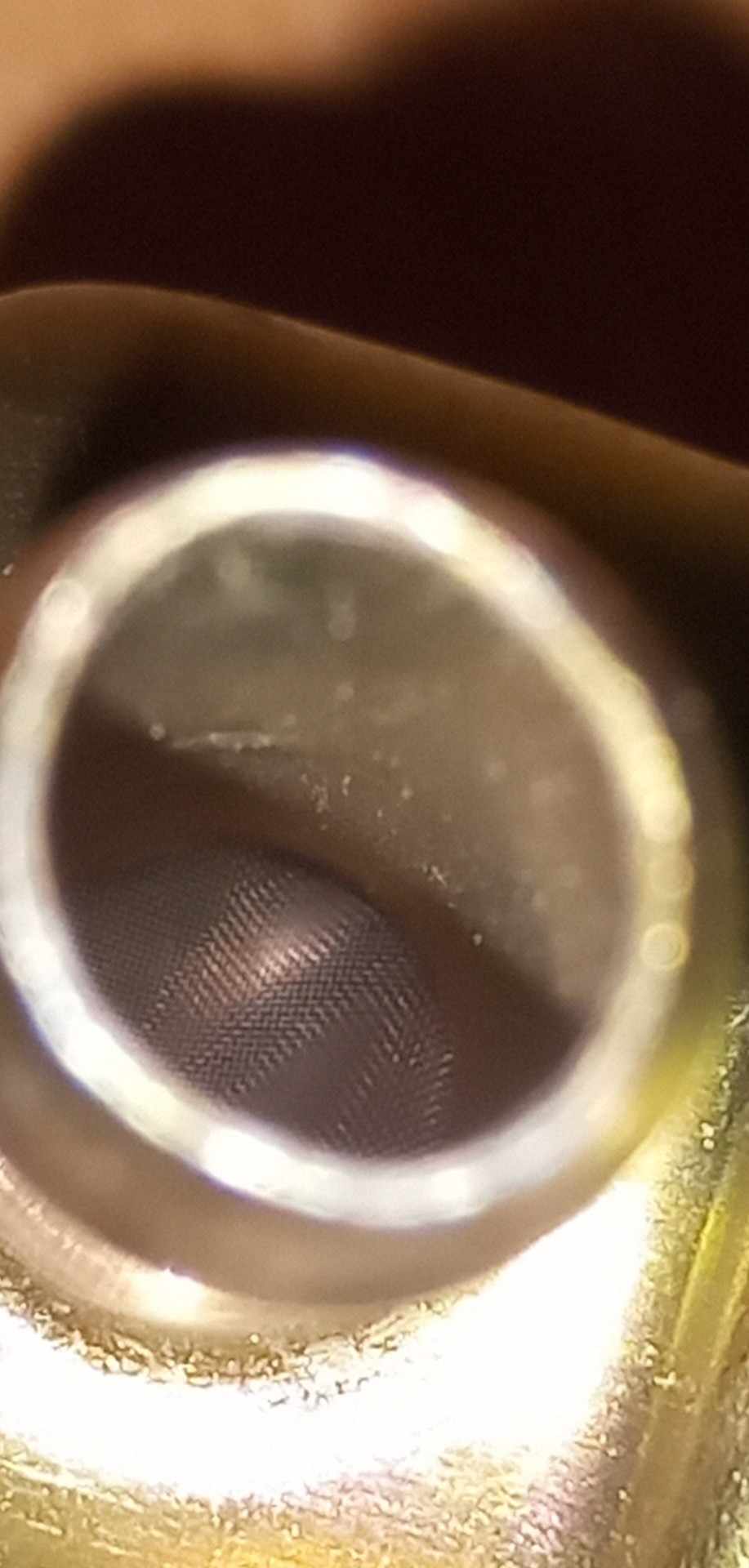1000006145.jpg