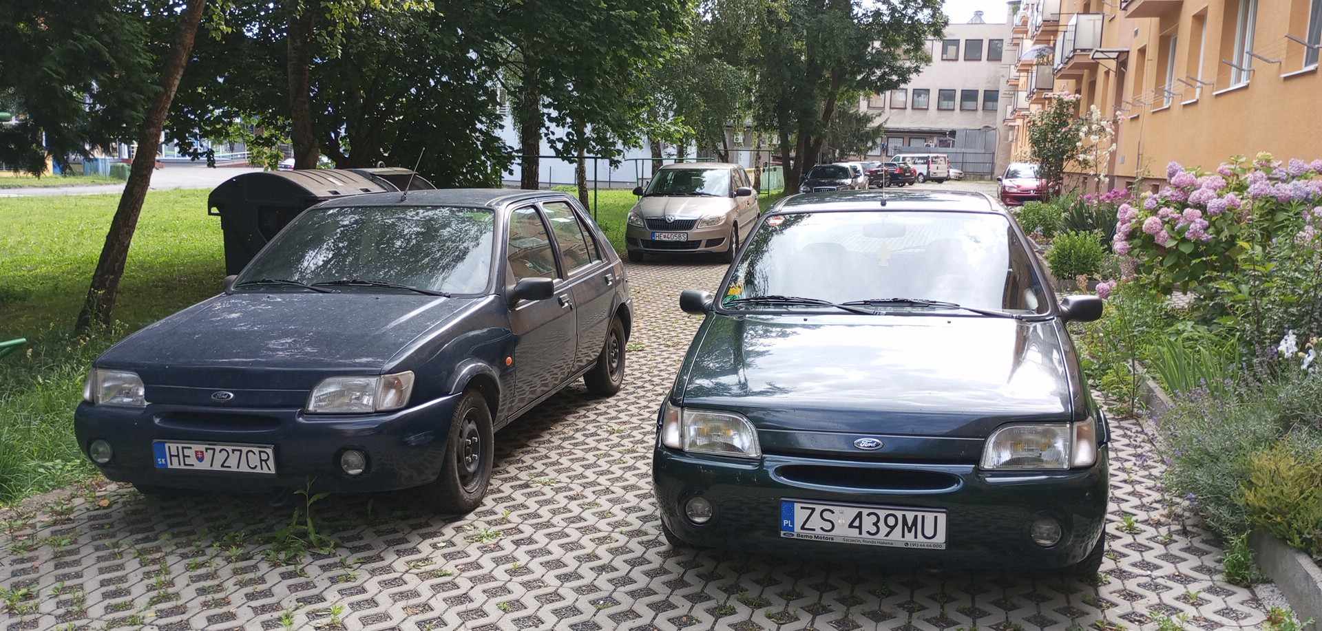 1000005062.jpg